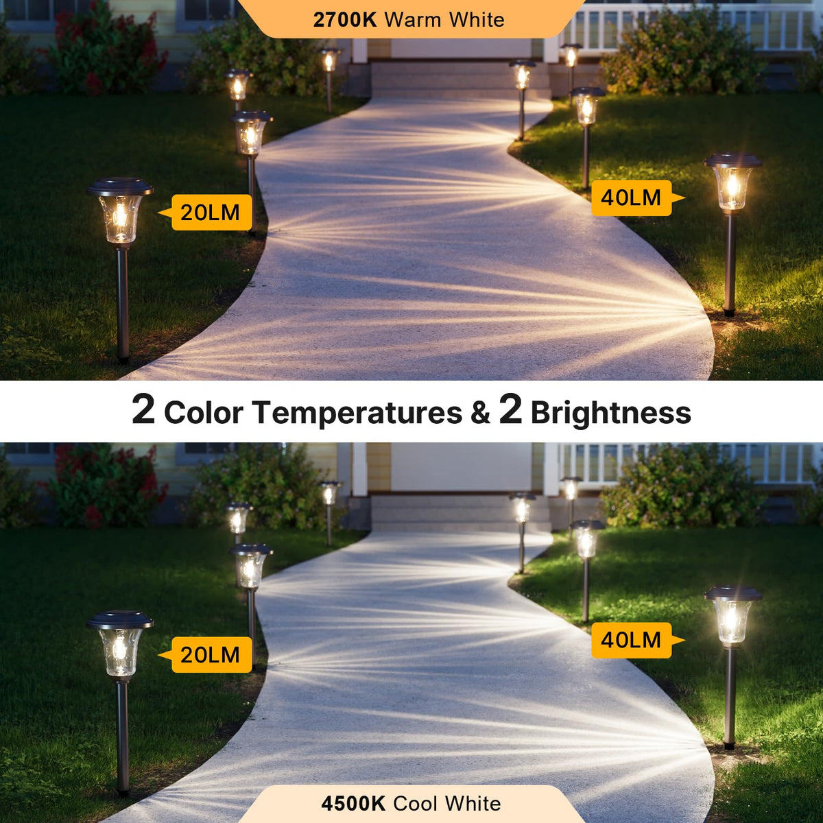 XMCOSY+ solar pathway light cool white glow highlights modern driveways and walkways.