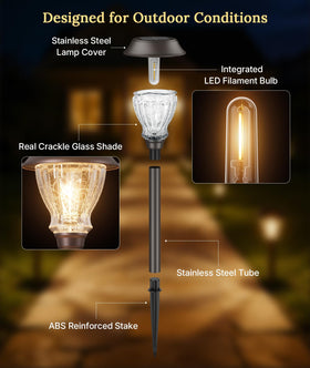 XMCOSY+ dusk-to-dawn automation lights up a garden path with convenience