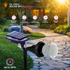 XTGTP Solar Color Spotlight pathway LEDs illuminate walkways with vibrant color options