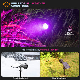XTGTP Solar Color Spotlight poolside glow highlights pool edges with weatherproof protection