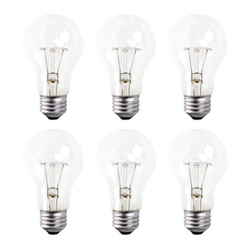 Xtricity A19 rough service bulb with clear glass shows warm 2700K light for homes
