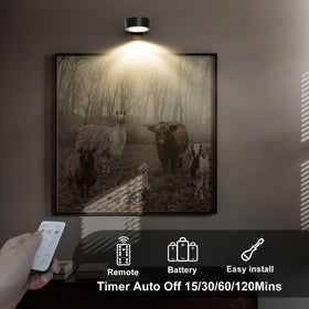 Xuolder provides warm, natural, and white modes for art display