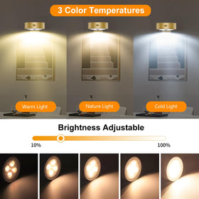 Xuolder dimmable art light offering warm to cool tones for portraits