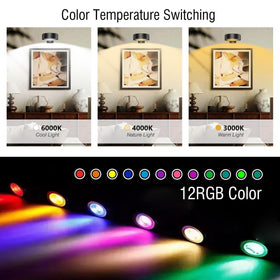 Xuolder wall light displaying 3 color temperatures to match artwork tones