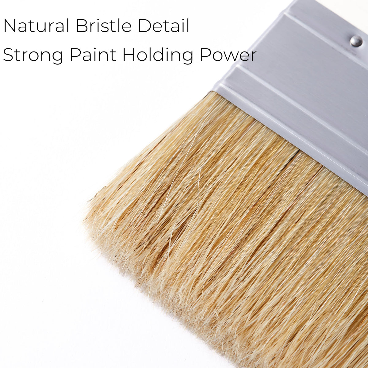 Xylarnoveth wide 200mm limewash brush for broad strokes and texture