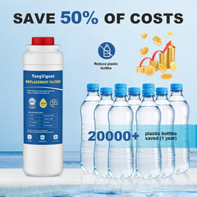 YangVigour 2-pack packaging indicates economical replacement option