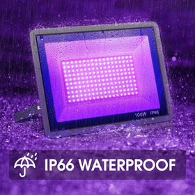 YANYCN 100W blacklight with 120-degree beam for large rooms.