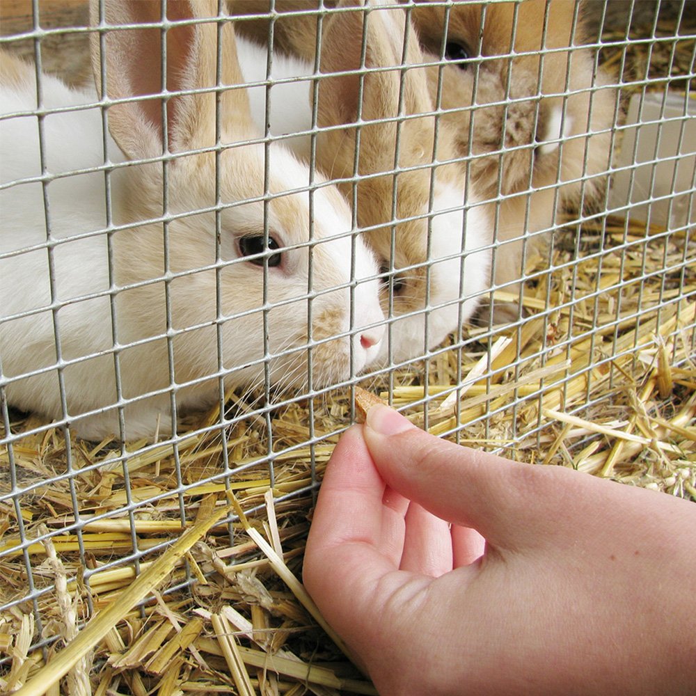 YARDGARD DIY-friendly fencing for borders, trellises, and small-animal enclosures.