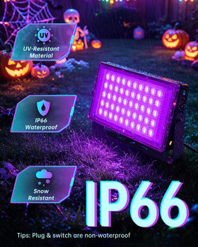 YAYIT 50W black light with a wide 120-degree beam for even glow.