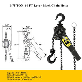 Dual pawl brake system on Ymachray hoist for controlled lifts
