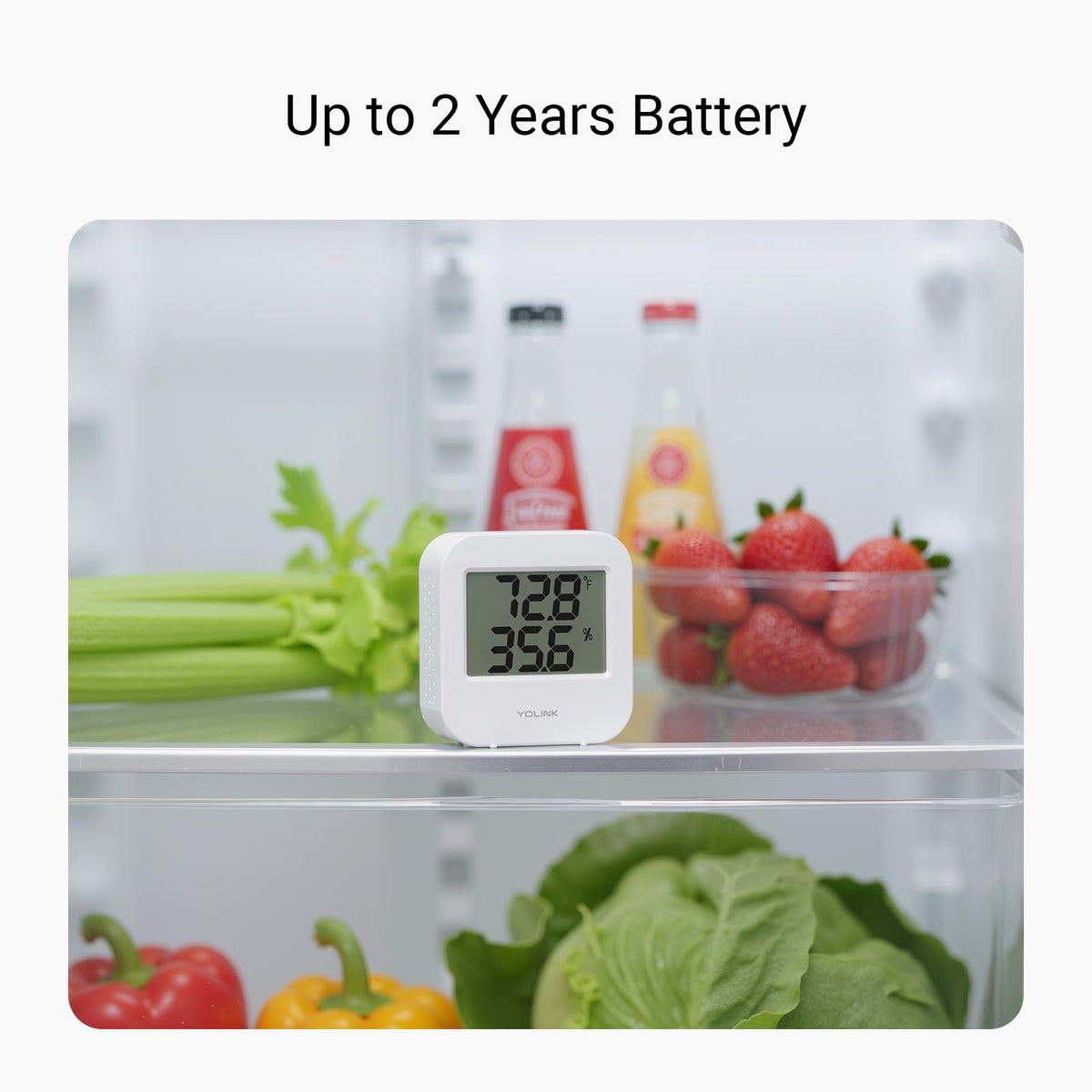 YoLink 2-pack with hub highlights economical smart upgrade.