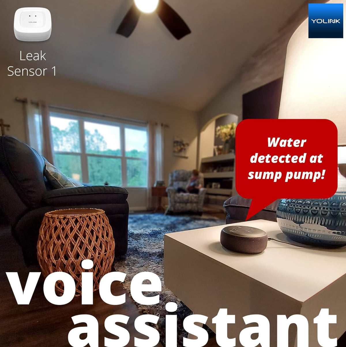 Alexa, IFTTT, and Home Assistant compatibility for automation