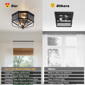 Yonaveil indoor-outdoor versatile light suitable for porch, hallway, or entryway
