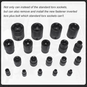 Yuesstloo Torx Plus 1/4-inch drive drawer for small bolts.