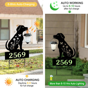YY Gardenia glow-in-the-dark numbers illuminate at night for easy identification