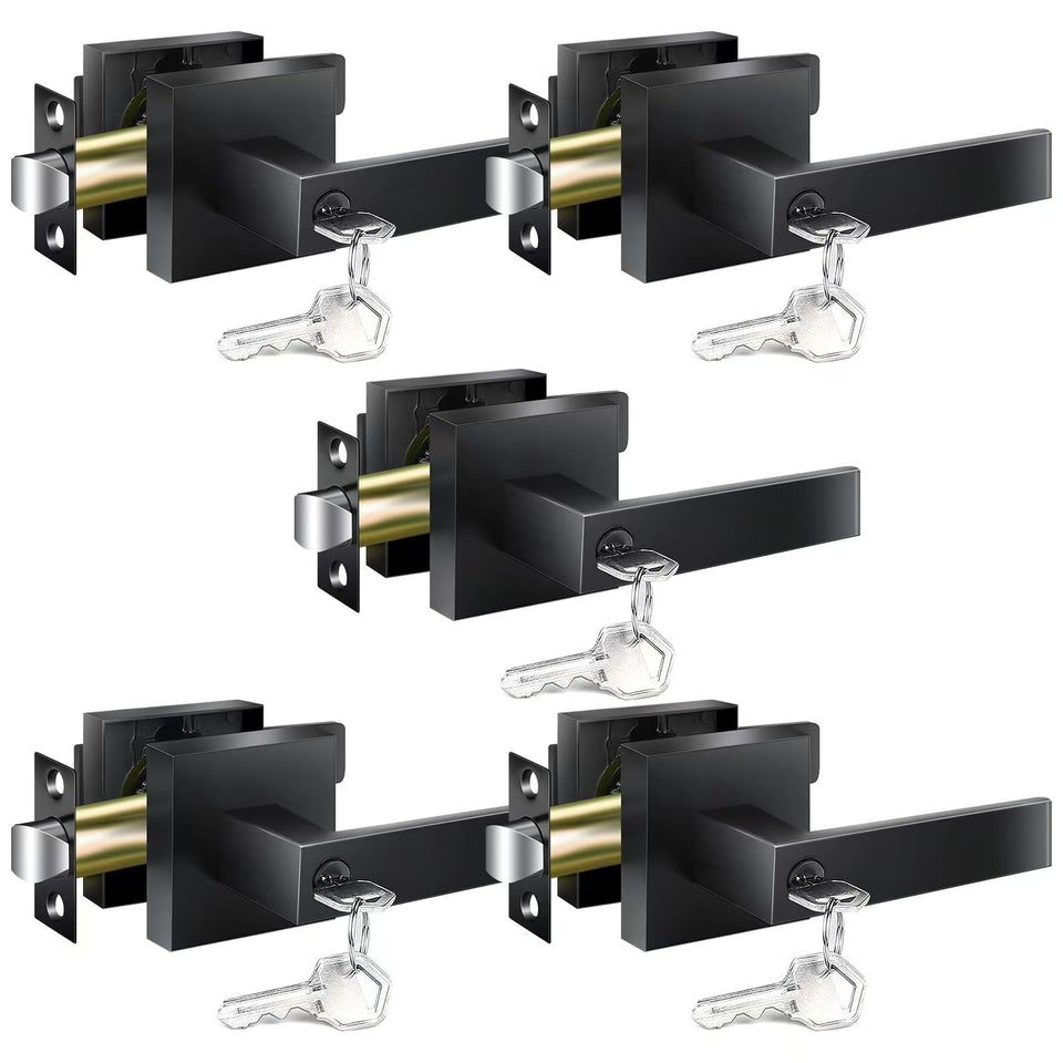 YYTDZSW matte black door handle with reversible lever for easy DIY installation.