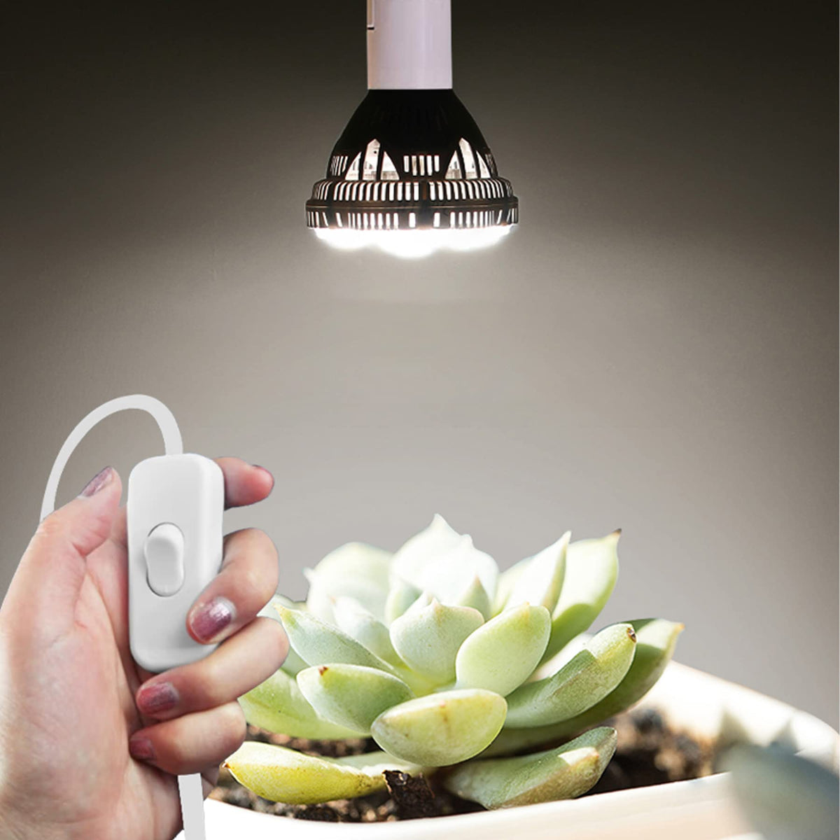 Zarnicy ceiling hooks and cord hooks simplify installation.