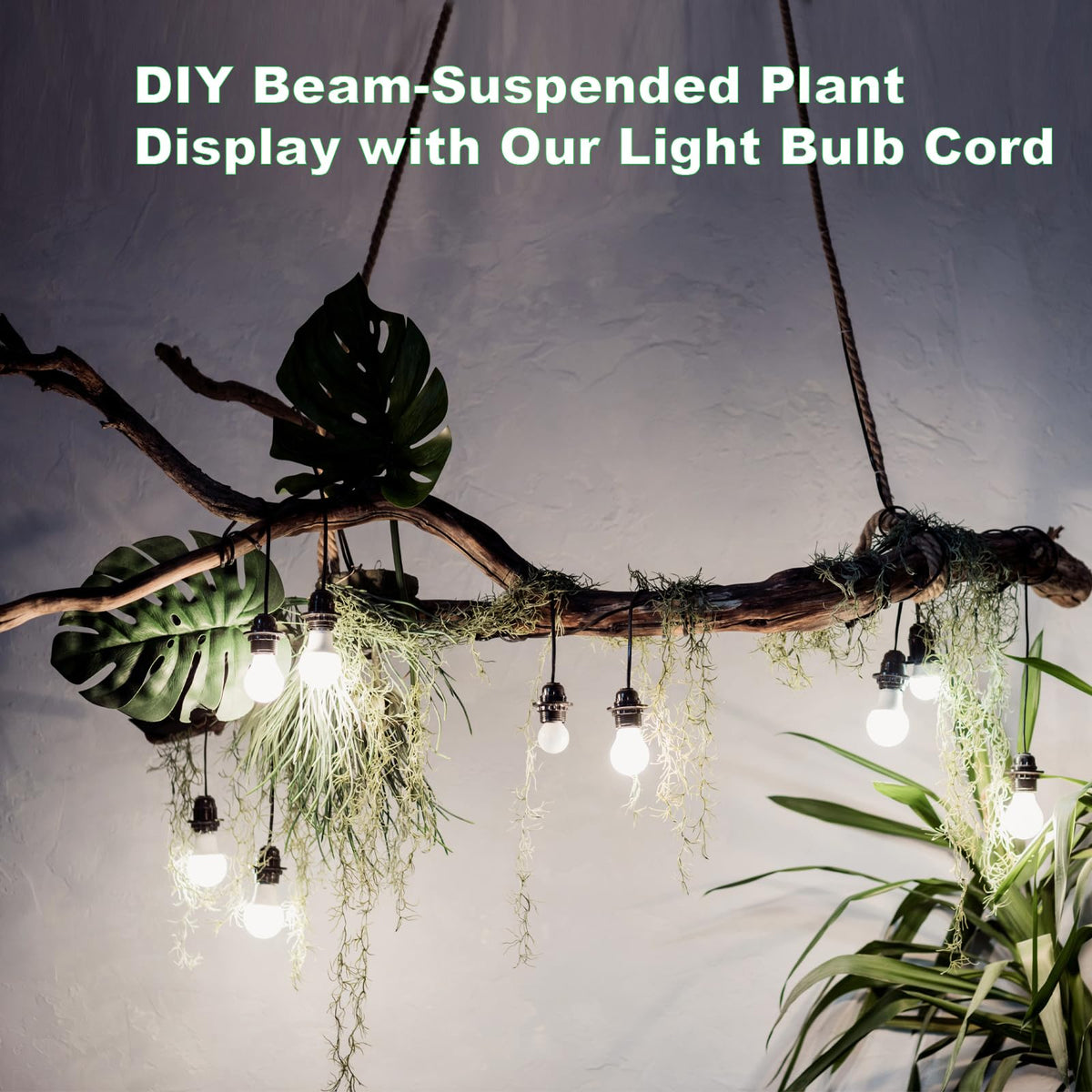 Zarnicy pendant light kit enables DIY lamp projects and accent lighting