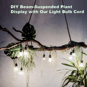 Zarnicy pendant light kit enables DIY lamp projects and accent lighting