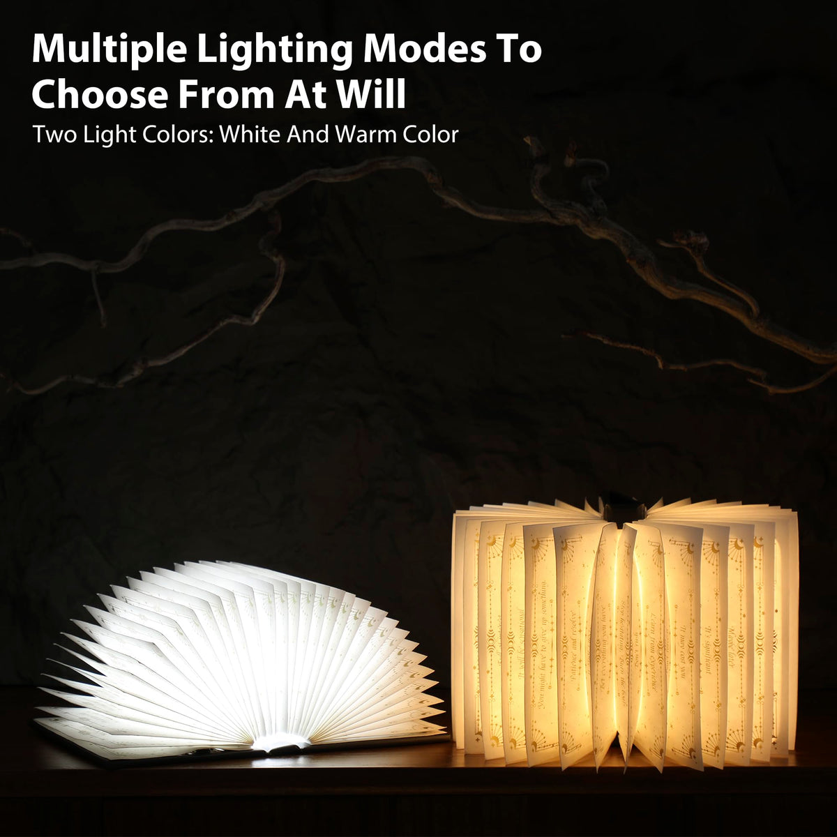 ZBOLE Magic Truth Book Light adds decorative whimsy to any room.