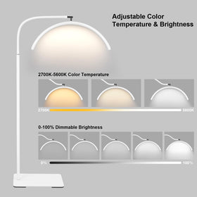 ZEKAHOV half moon lamp adjustable color temperature 2700K-5600K for true color work.