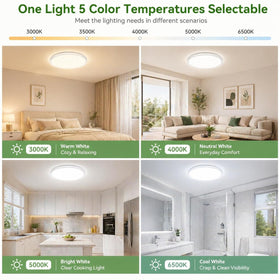 zemty 12-inch round LED ceiling light providing bright, energy-efficient illumination