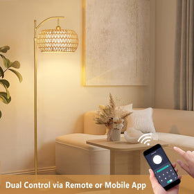 ZECOXOL remote and footswitch enable convenient light control