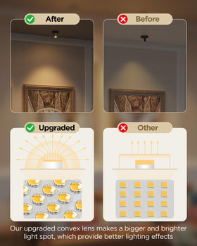 Zetunlo spot light highlights plants and trees with warm glow