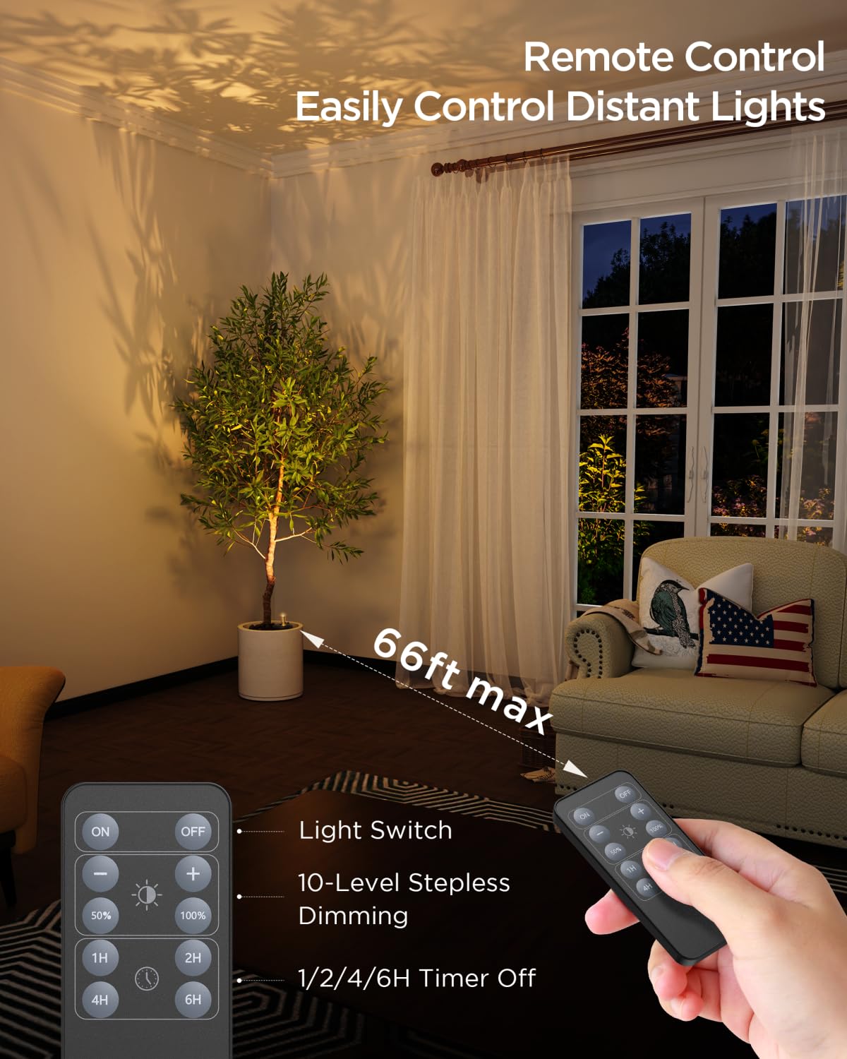 Zetunlo spot light accentuates a portrait display with soft illumination