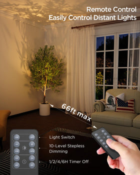 Zetunlo warm white 3000K glow creates cozy atmosphere.