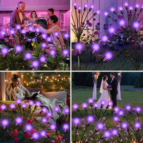 ZFNN automatic solar lights switch on at dusk for hands-off illumination