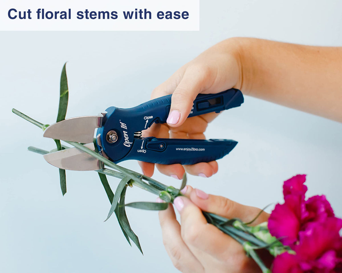 Zibra Open It 4-in-1 gift-ready presentation signals a practical gift