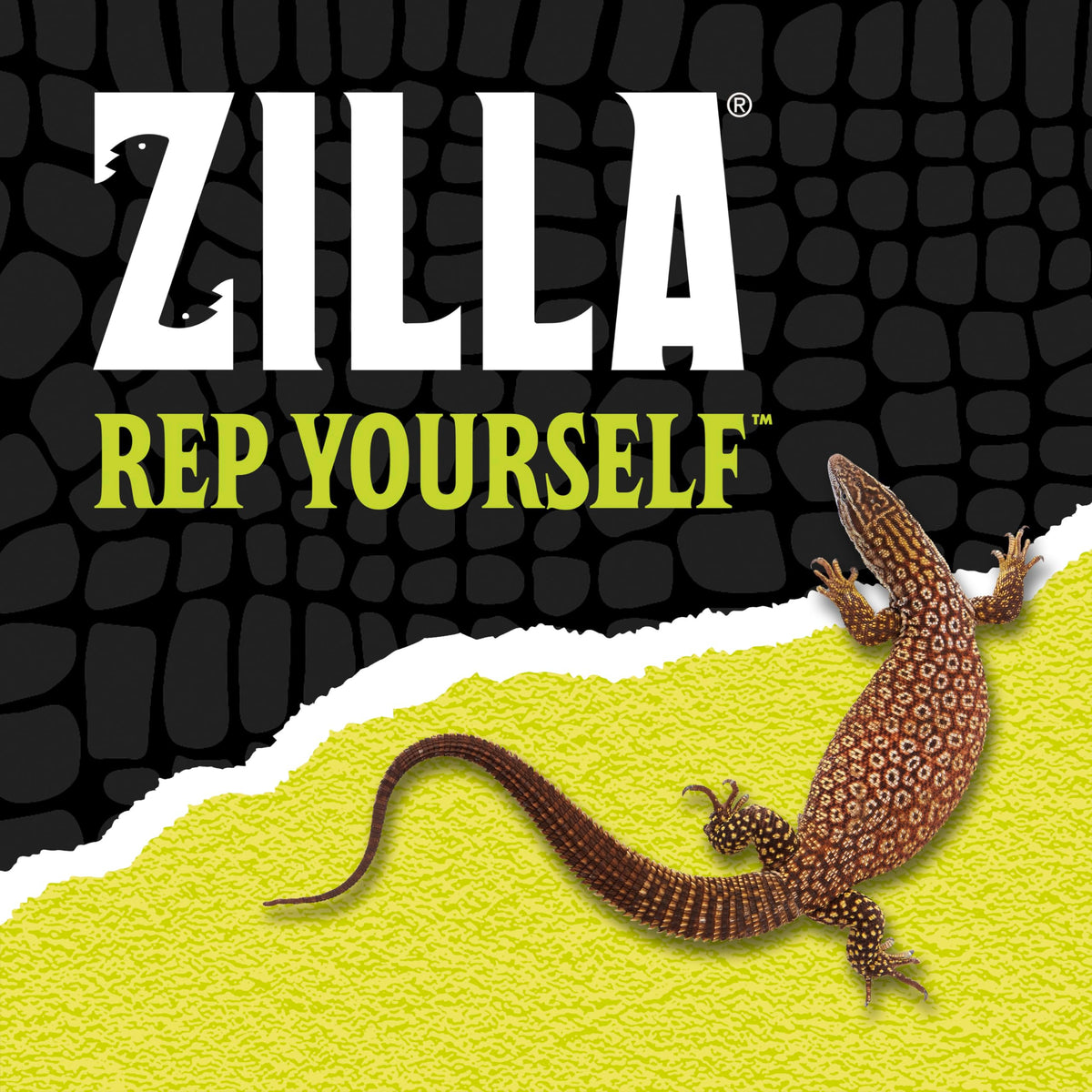 Zilla easy programming for habitat timer makes routine care straightforward.