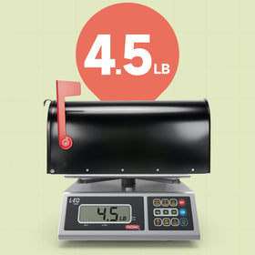 Zinovo medium capacity mailbox holds letters magazines and small parcels