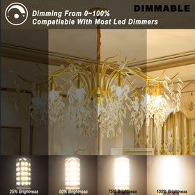 Ziomitus bulbs installed in a chandelier and wall sconces for ambient lighting