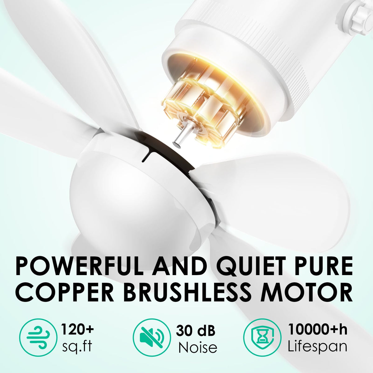 ZIZIWIN quiet motor with bright LED illumination outdoors