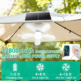 ZIZIWIN remote-controlled ceiling fan light with convenient on-demand adjustments