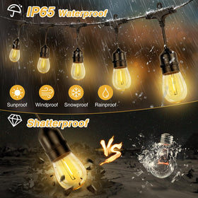 ZJOJO shatterproof bulbs endure wind and weather for lasting decor
