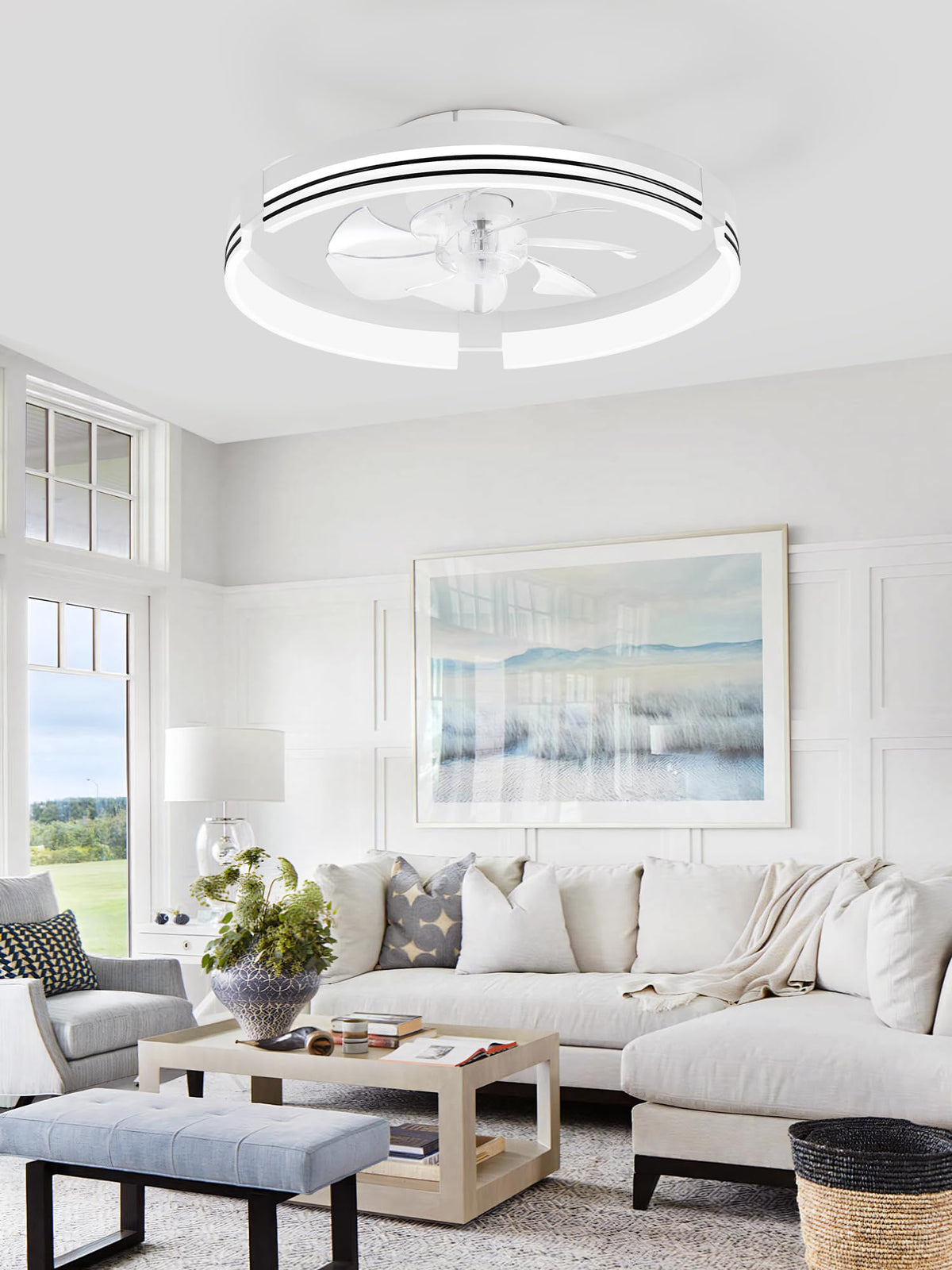 ZMISHIBO app and remote control simplify quick brightness and speed adjustments.
