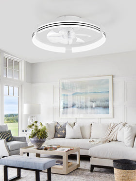 ZMISHIBO app and remote control simplify quick brightness and speed adjustments.