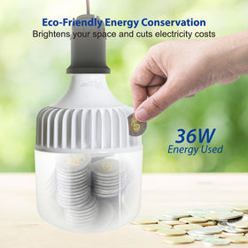 ZONE INDUSTRY CORP LED bulb with E26 base installs easily in indoor fixtures.