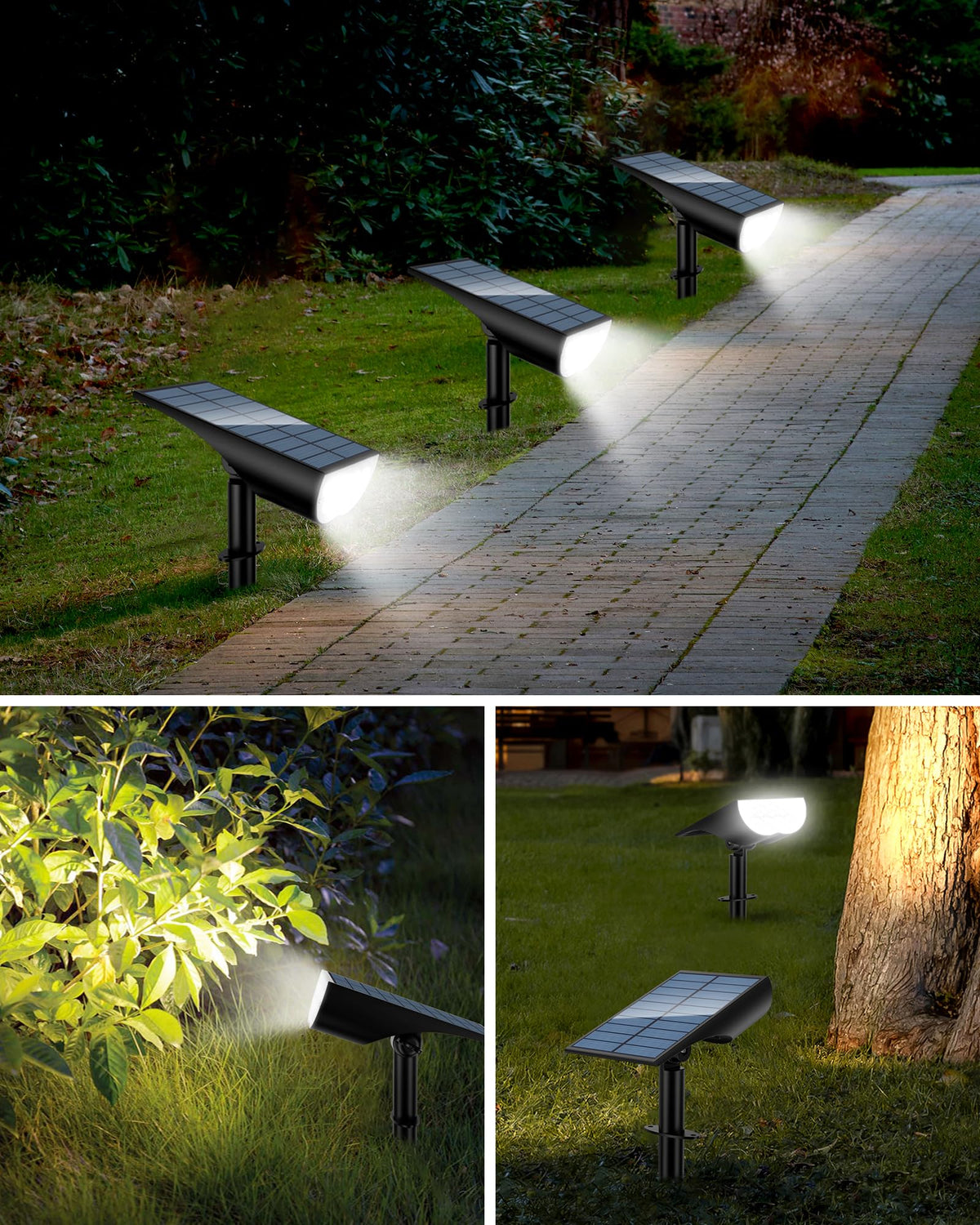 ZOOKKI tree-light accent creates focal points in outdoor landscapes