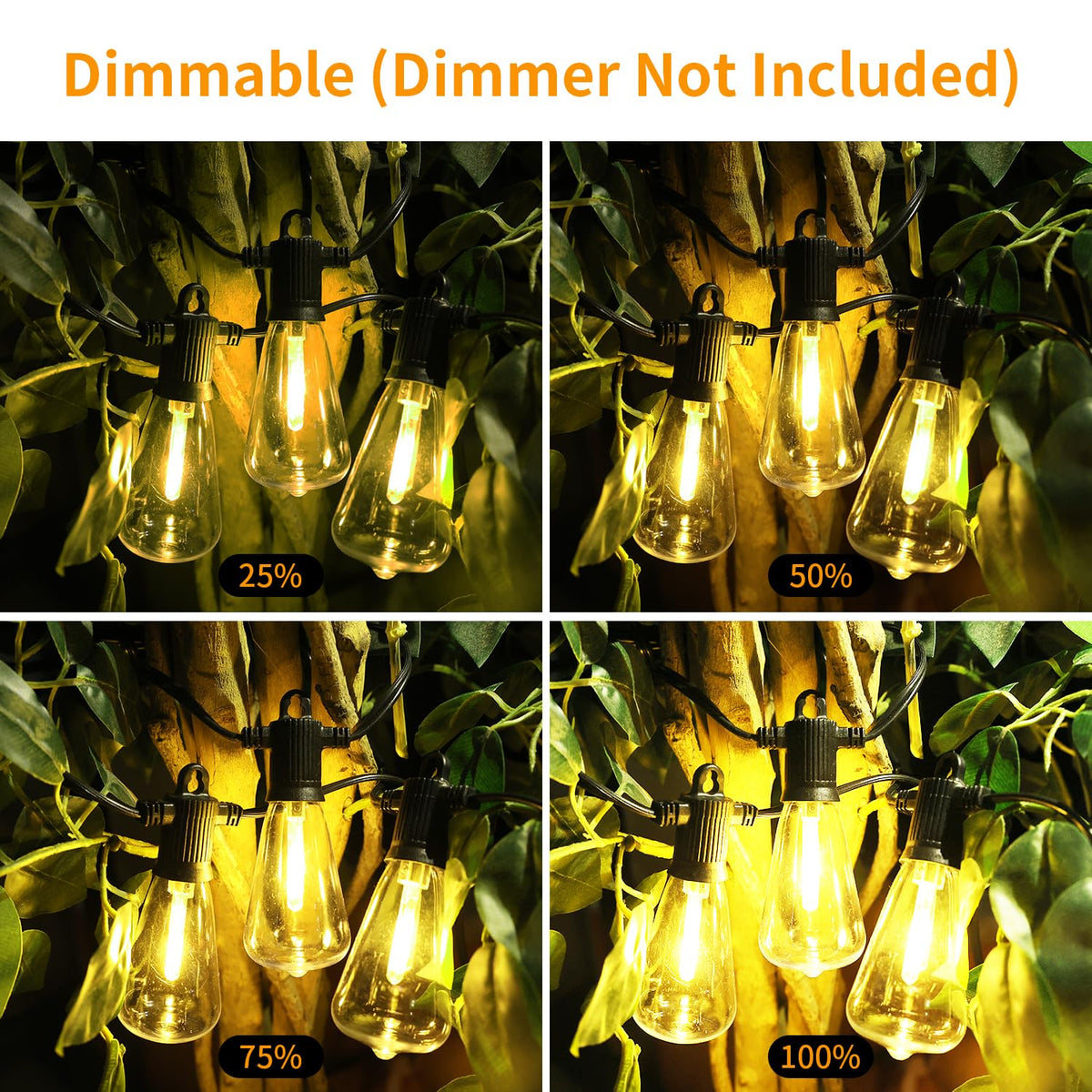 ZOTOYI dimmable 2700K bulbs for adjustable brightness.