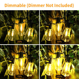 ZOTOYI dimmable 2700K bulbs for adjustable brightness.