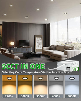 Zouzai can light showing a color-temperature side switch for flexible mood.