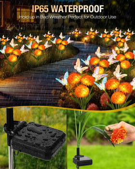 ZPQBEYE IP65 waterproof design withstands rain and dew for reliable year-round use.