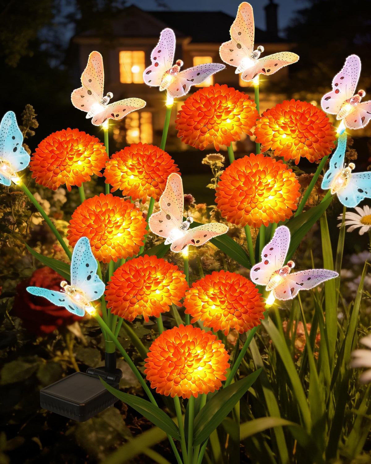 ZPQBEYE solar butterfly lights illuminate flower beds with a soft glow for evening ambiance.