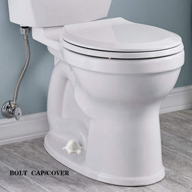 ZUNON ceramic frog caps decorate your toilet area.