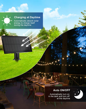 Zuske IP65 weatherproof design withstands rain, wind, and snow.