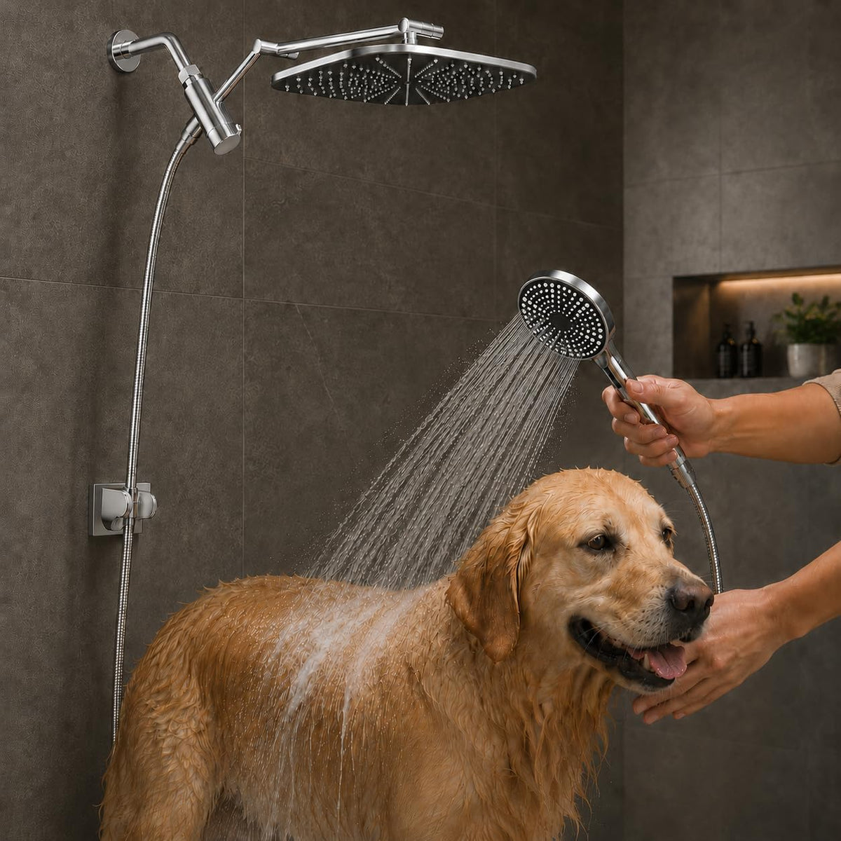 Zyora premium shower set creates a spa-like daily ritual at home.